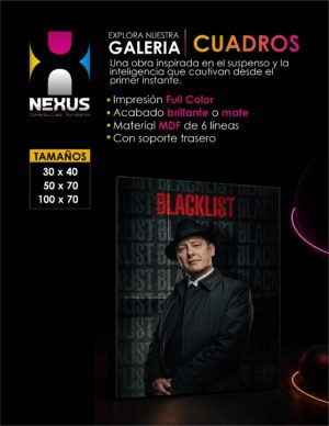 CATALOGO DEL APARTADO TERMINADOS 9 Cuadro de Serie